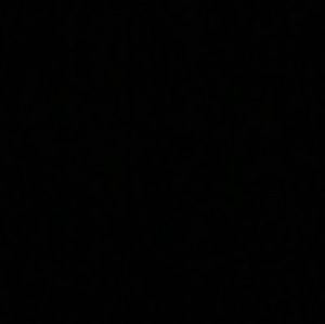 Meet your Posher, Annabelle